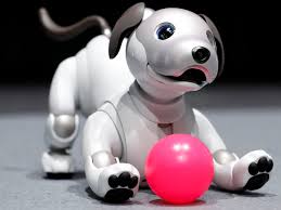 Sony’s Dog is a Robot too