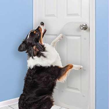 how do i stop my dog from scratching the door