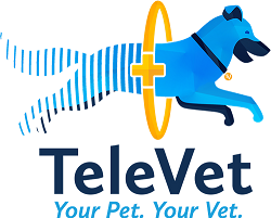 TeleVet scores $2 million