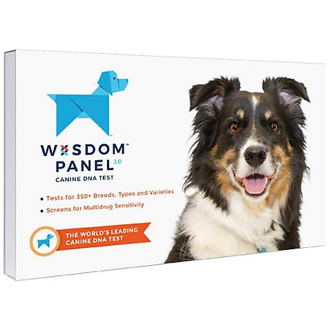 Wisdom panel dna best sale dog